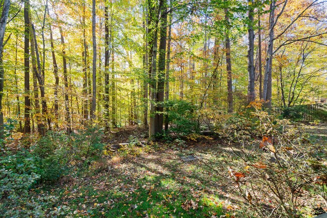 Building Photo - 8653 Bent Arrow Ct