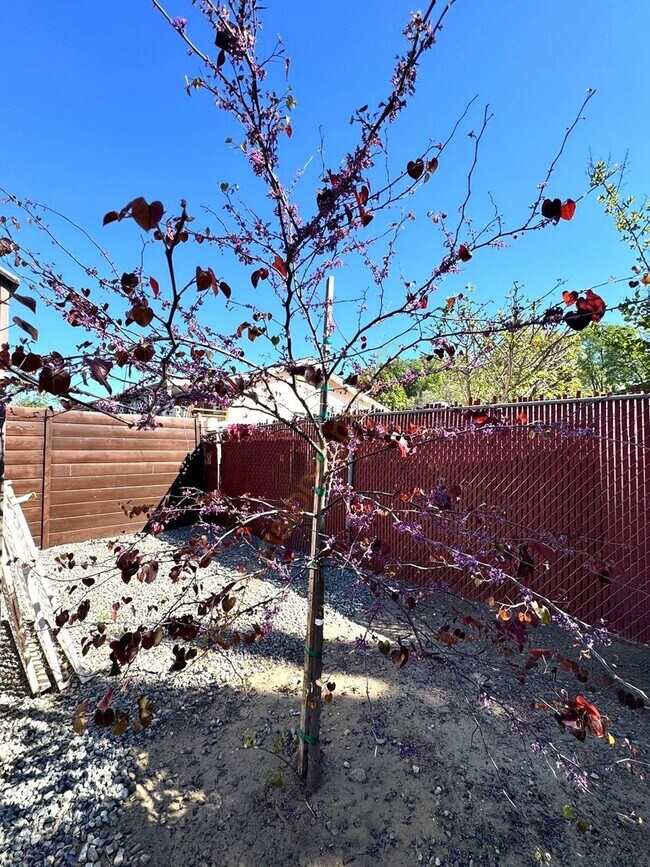 Building Photo - Beautifual Home