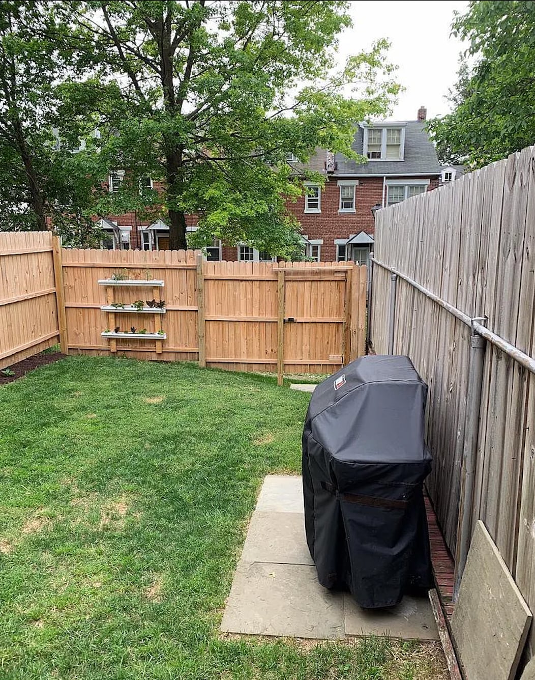 Back yard - 679 Poplar St