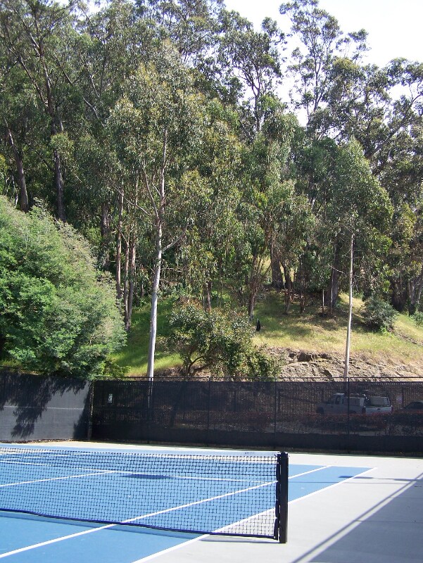 Building Photo - 535 Pierce St