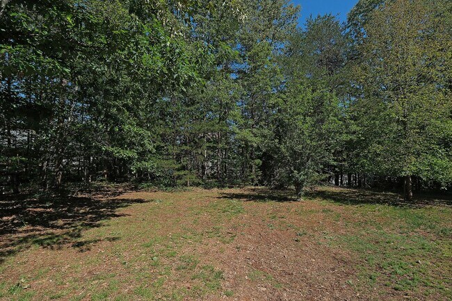 Building Photo - Pet-Friendly One-Level Lake Monticello Home