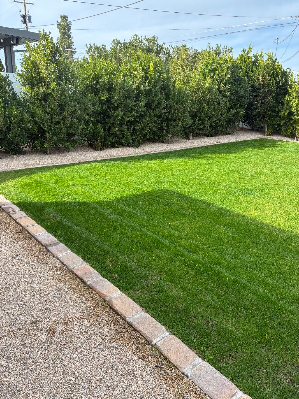 Building Photo - 3536 E Amelia Ave