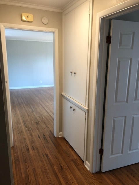 Building Photo - Wonderful Updates in this Midtown Charmer! 3 bed 1 bath, GREAT Kitchen!