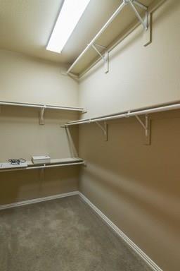 Building Photo - 6607 Eagle Nest Dr