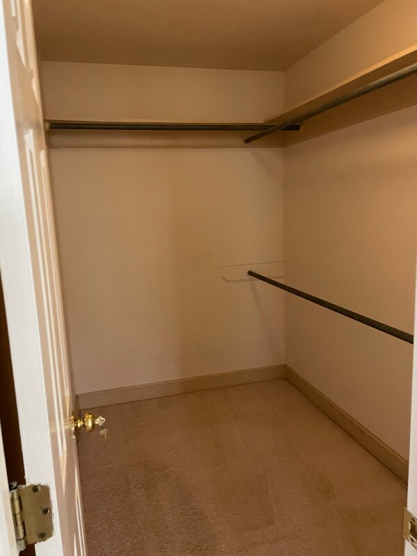 Building Photo - 8800 Colesbury Dr