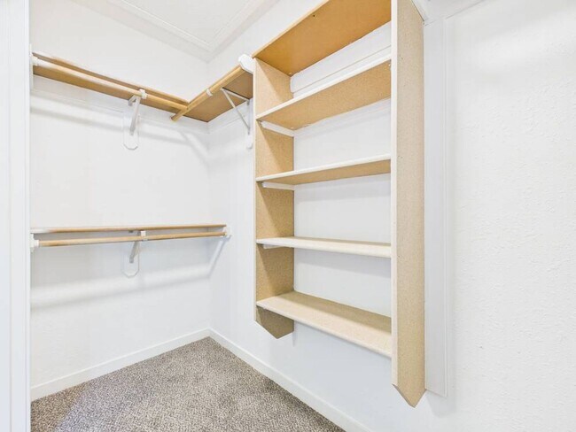 Building Photo - 1206 Foxridge Dr