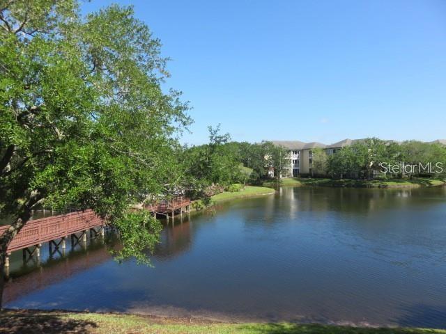 Building Photo - 4115 Chatham Oak Ct