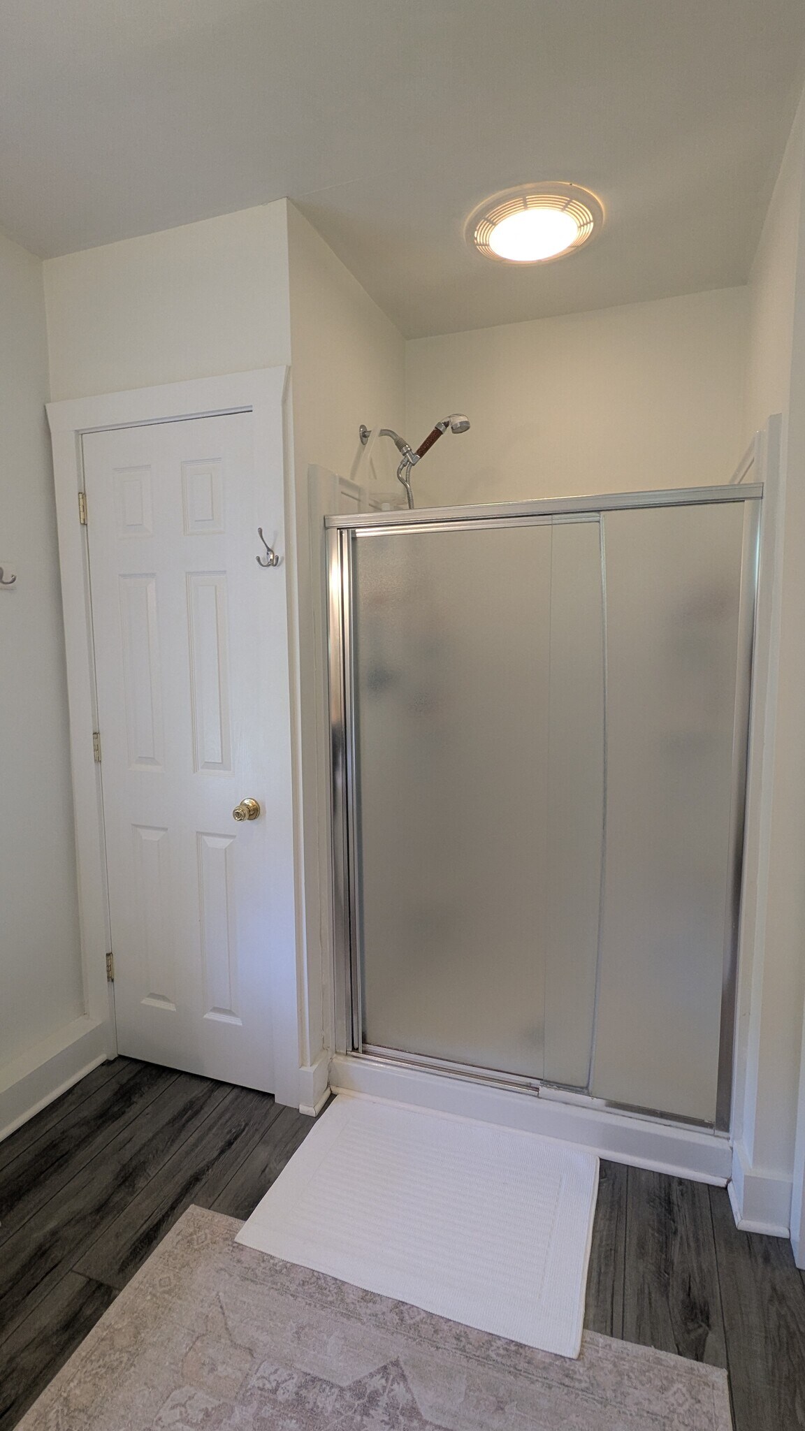 Linen closet & walk-in shower - 156 Henry St