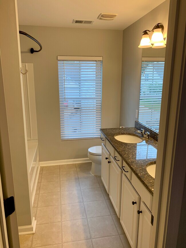 Master bath with granite countertop - 1545 Oldenburg Dr