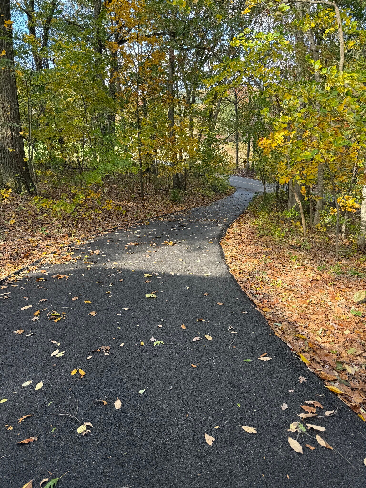 Building Photo - 6088 Church Rd