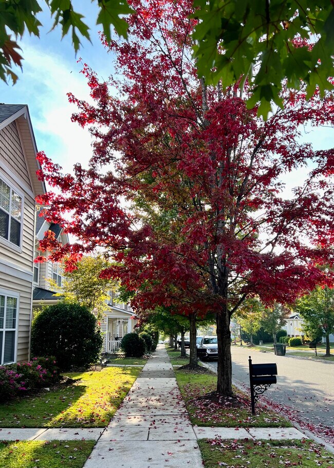 Building Photo - 12123 Monteith Grove Dr