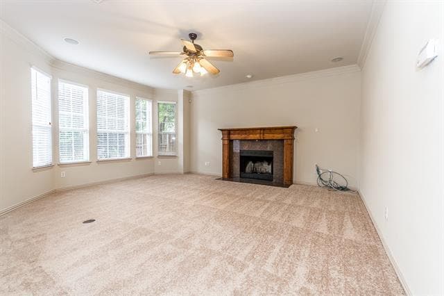 Building Photo - 10804 Briar Brook Ln