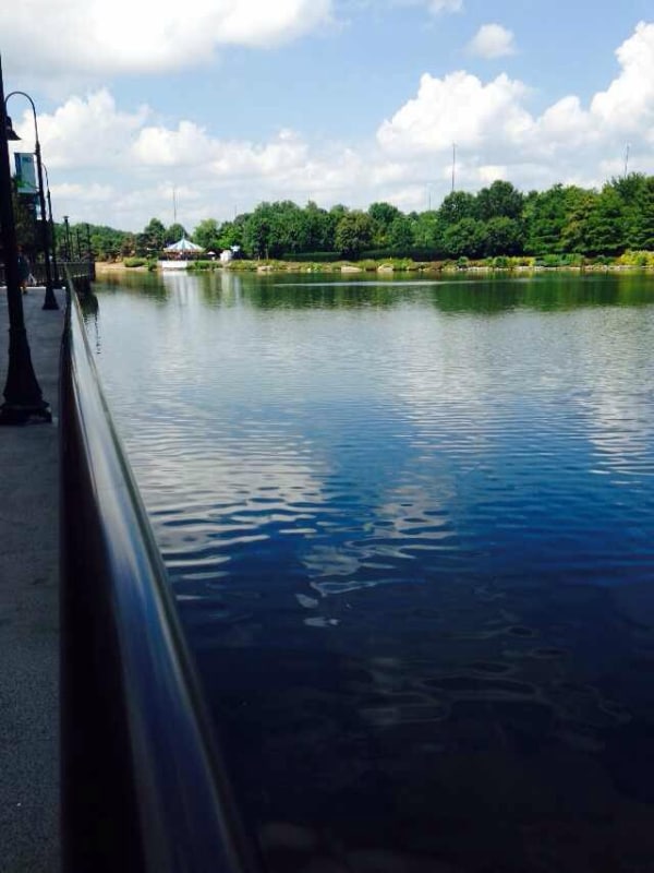 Building Photo - 9726 Fields Rd