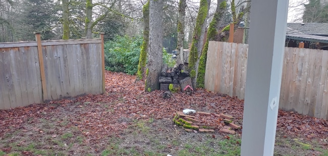 Building Photo - 11429 11th Dr NE