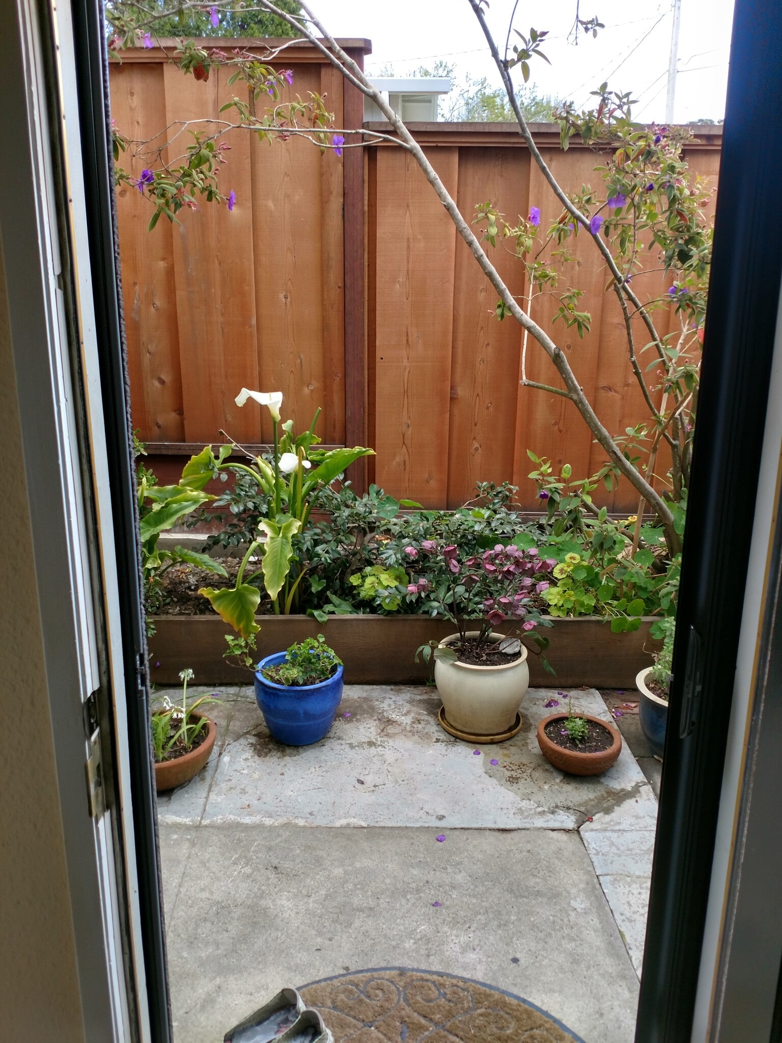 garden - 196 Alturas Way