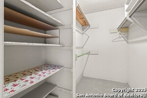 Building Photo - 162 Amistad Blvd