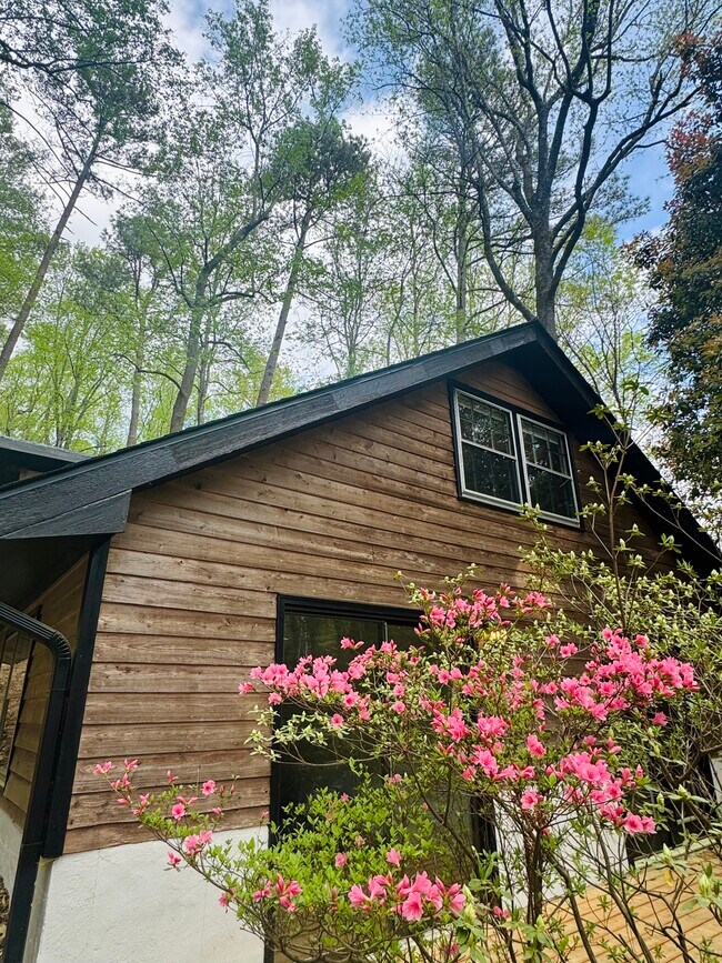 Building Photo - 1269 Manns Chapel Rd