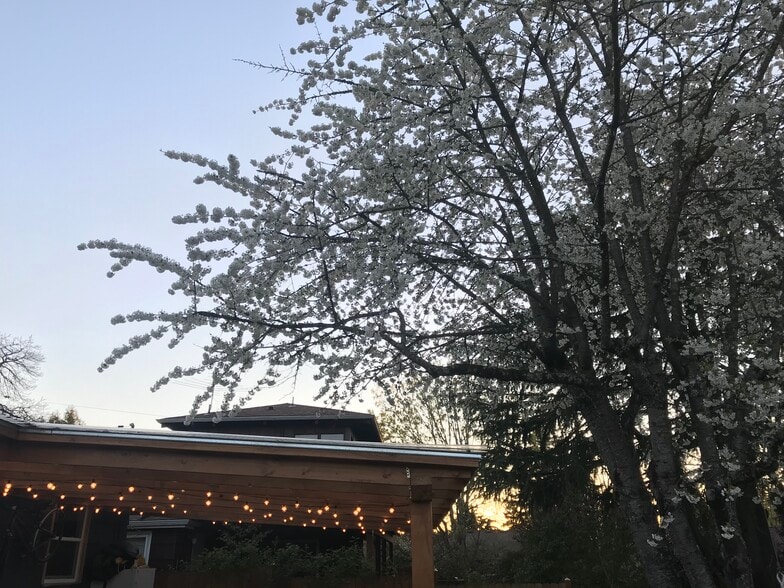 Building Photo - 5023 NE Sumner St