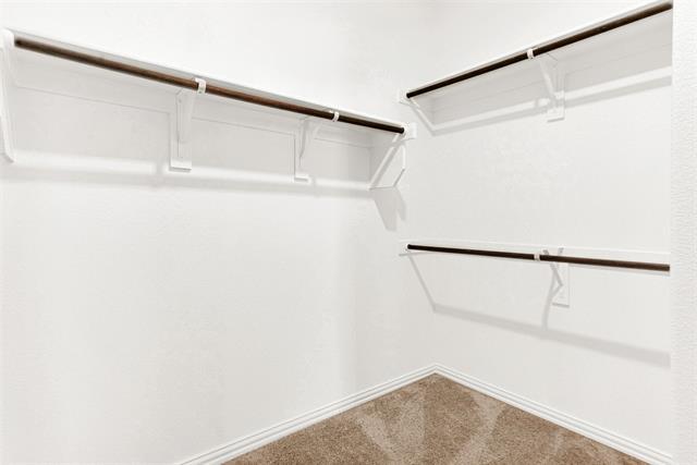 Building Photo - 3320 Brentwood Cv