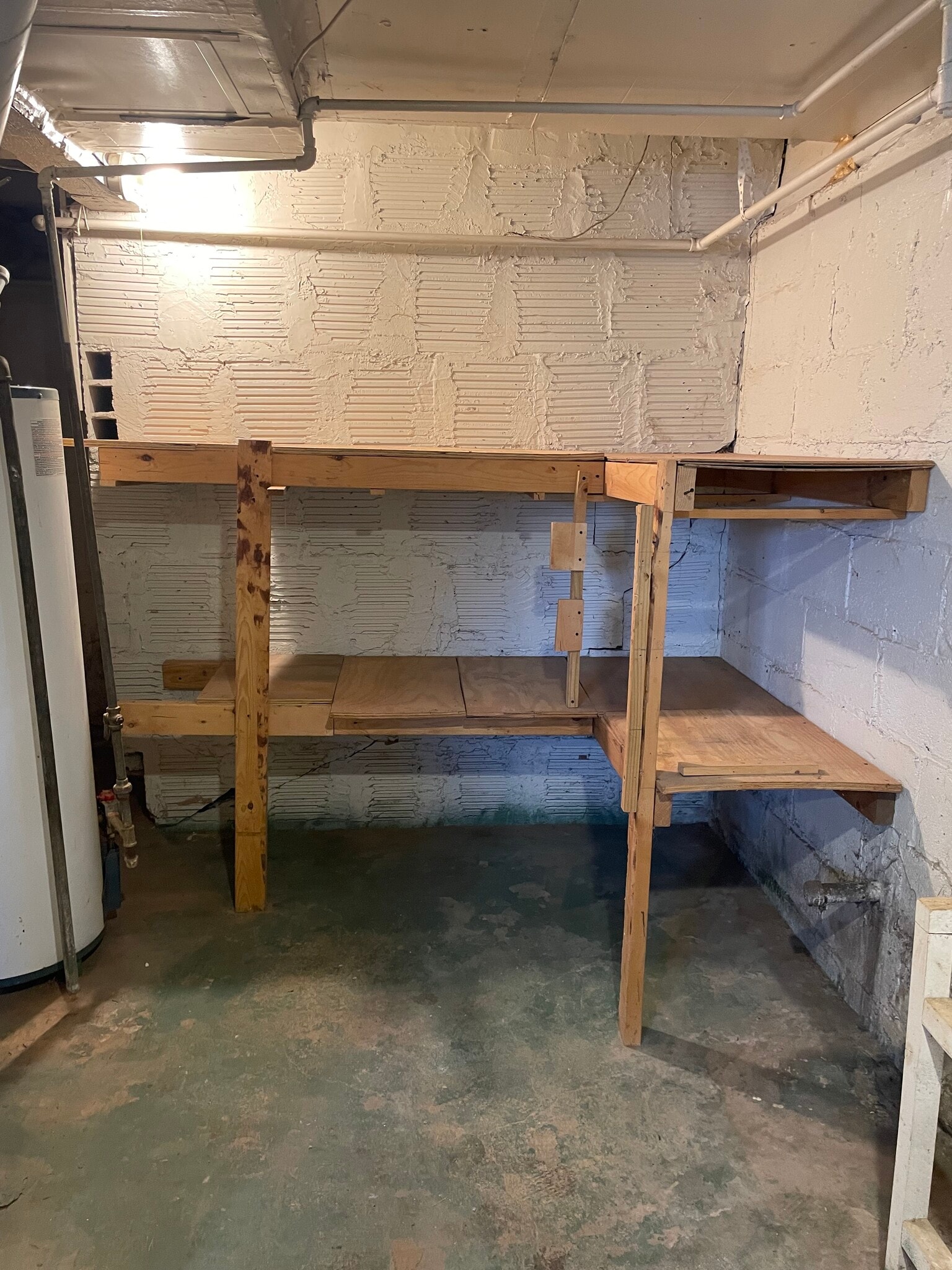 Basement storage - 526 1/2 E 7th St