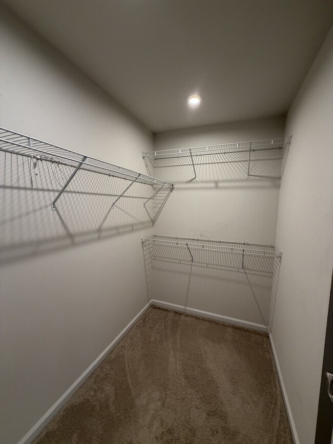 Building Photo - 9518 Royal Tern Dr