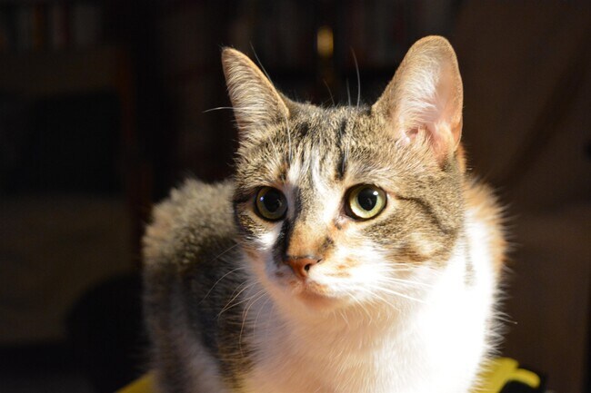 Building Photo - 93 West St