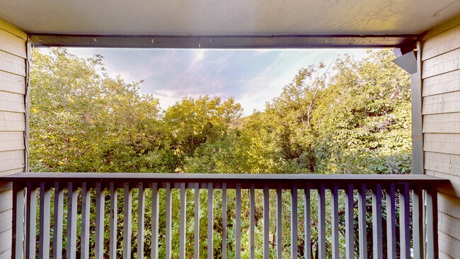 Building Photo - 212 Marin St