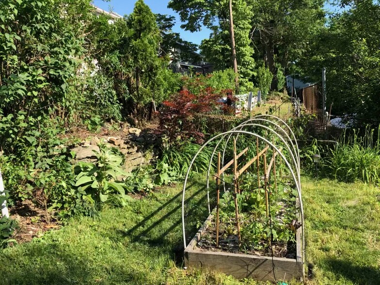 Lush backyard - 48 Gordon Ave