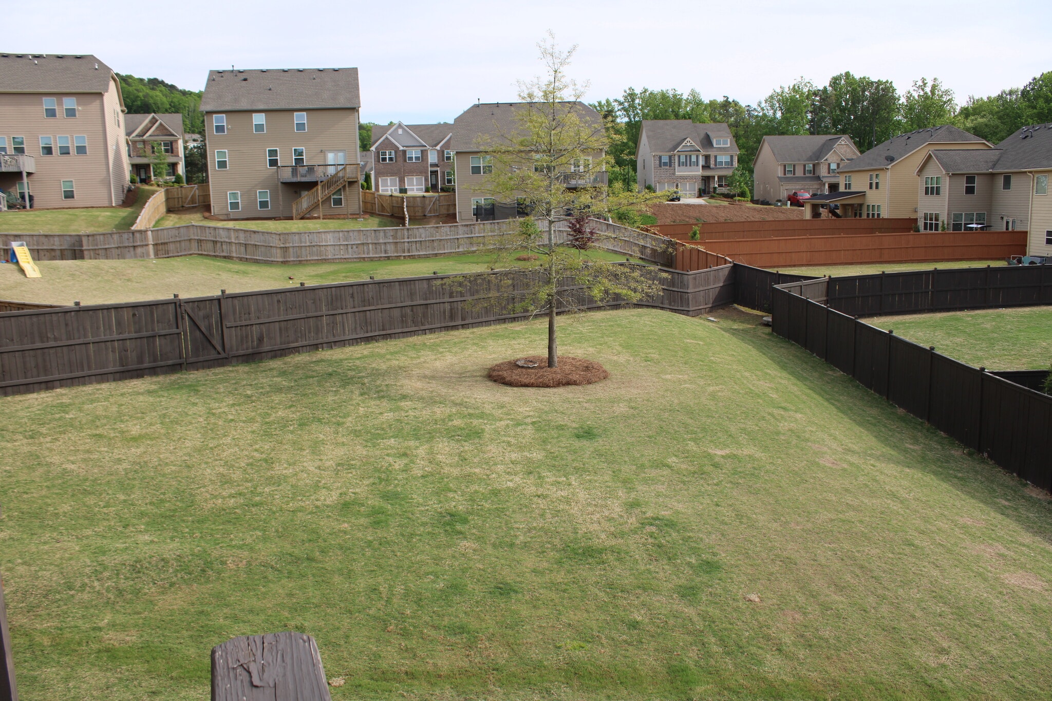 Backyard view - 2940 Furlong Ct