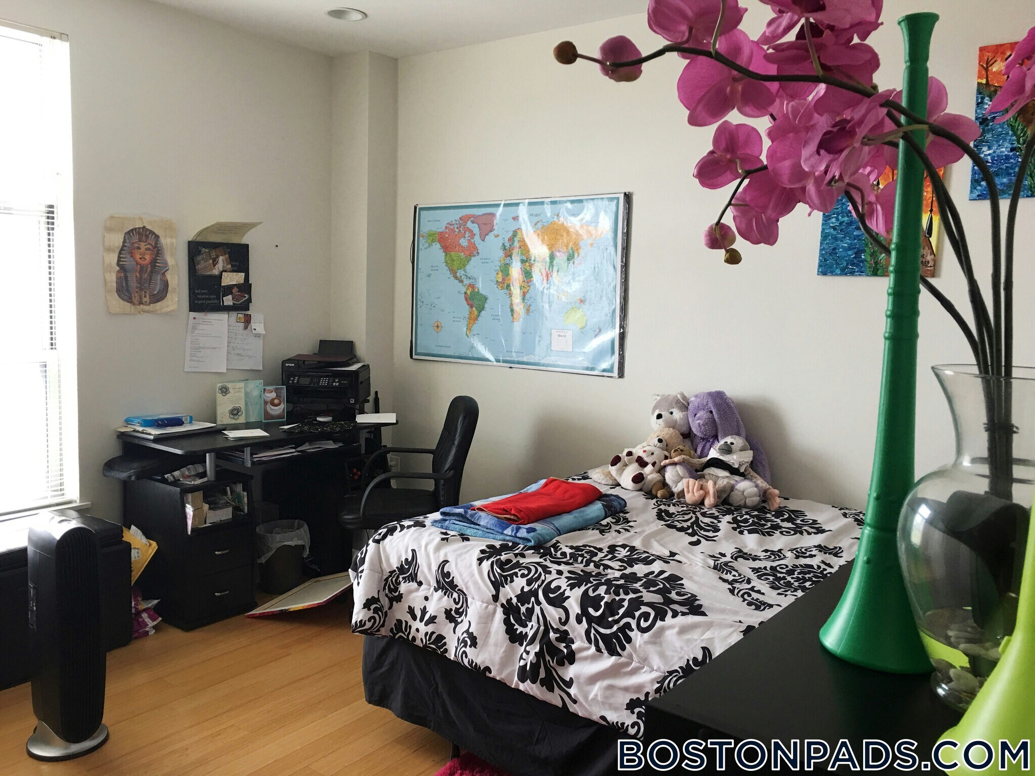 Building Photo - 601 Albany St