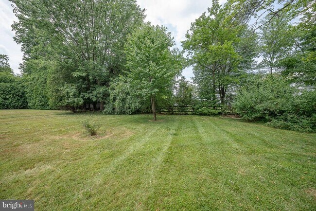 Building Photo - 533 Monument Ave