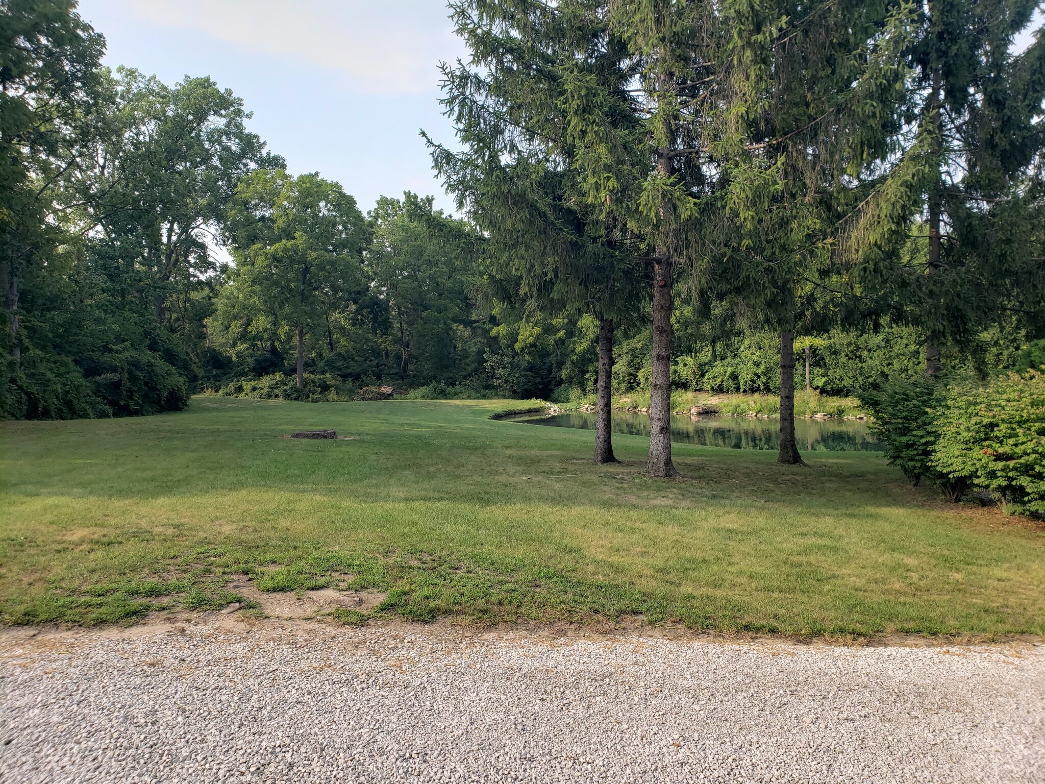 Back yard from porch - 305 Judd Rd