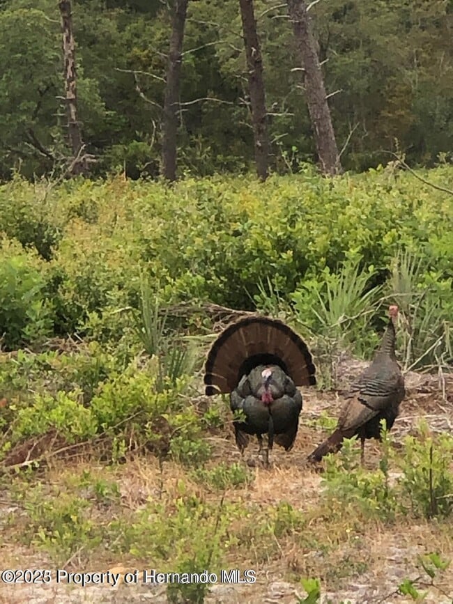 Building Photo - 6452 River Run Blvd