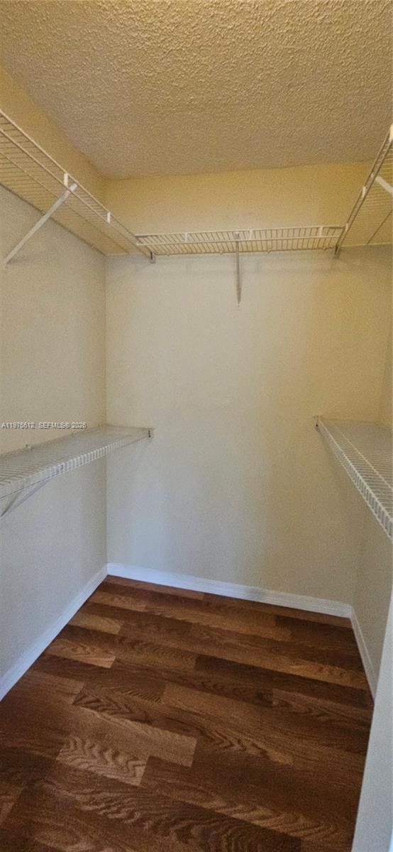 Building Photo - 3848 Lyons Rd