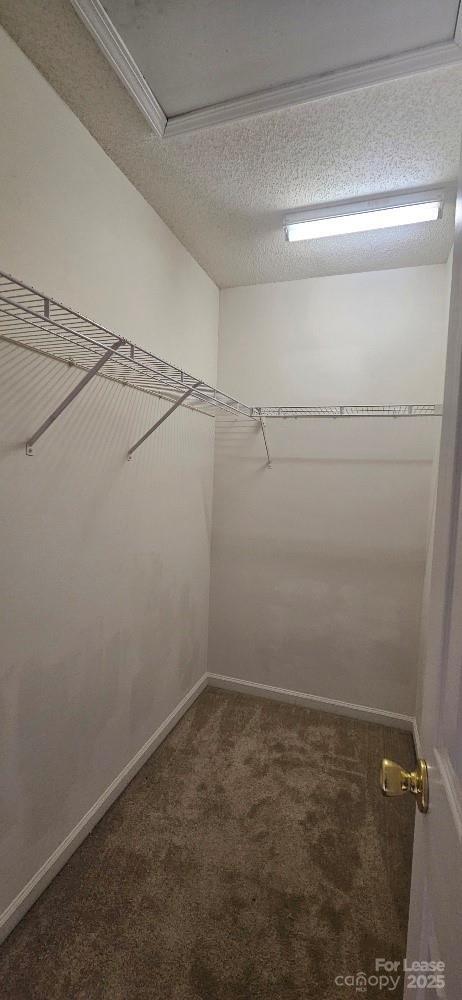 Building Photo - 6807 Juniper Tree St