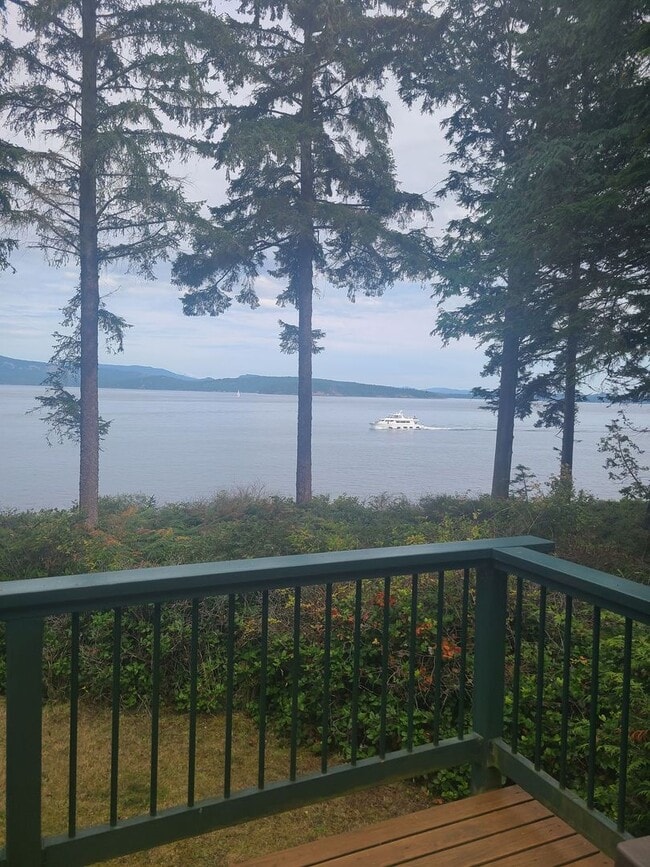 Building Photo - Charming Waterfront Cabin on San Juan Drive
