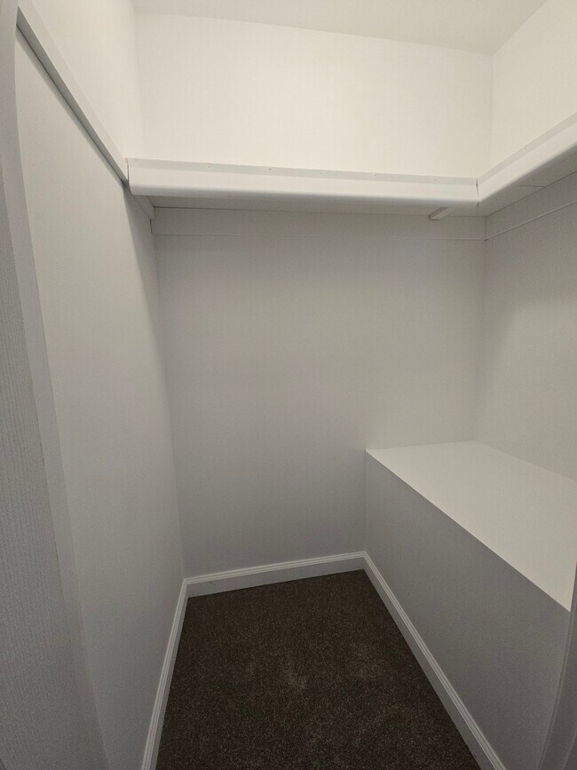 Closet 1 in Main BR - 41215 S Woodbury Green Dr