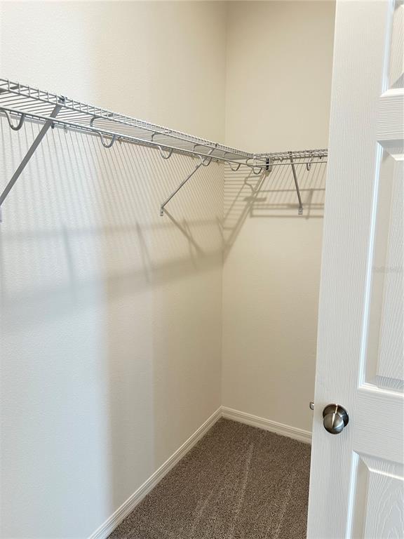 Building Photo - 5850 Ali Grace Dr