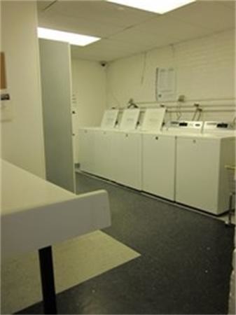 Building Photo - 466 Commonwealth Ave