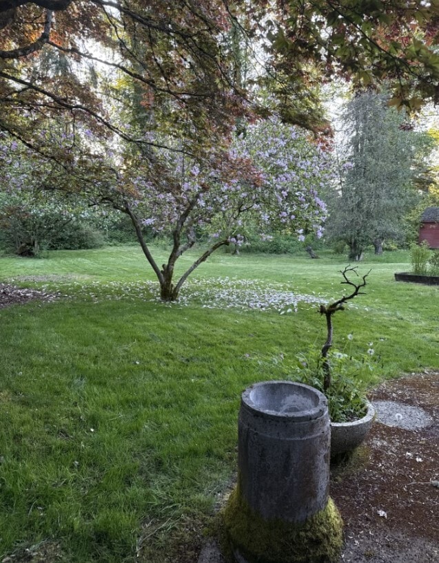 Building Photo - 8904 Monte Cristo Dr