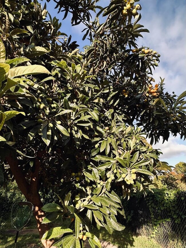 Building Photo - 327 Woodland Park