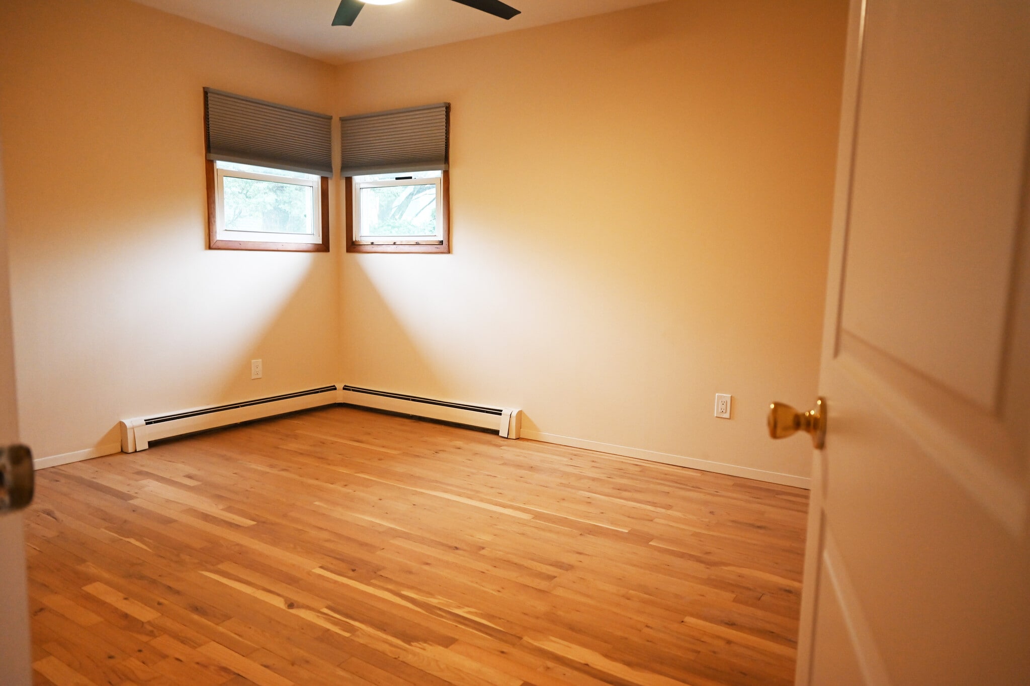 Building Photo - 71 Cayuga Ave