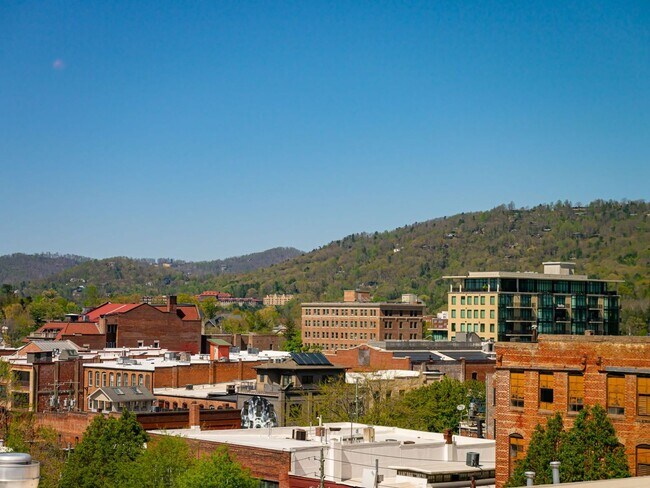 Building Photo - Fabulous Downtown Asheville Apartment