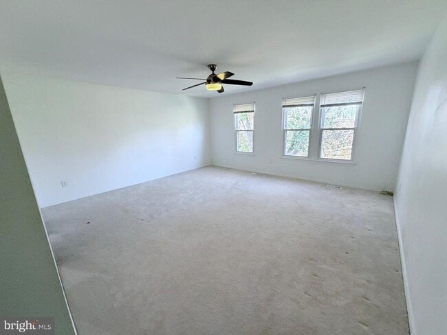 Building Photo - 24 Wilcox Ct