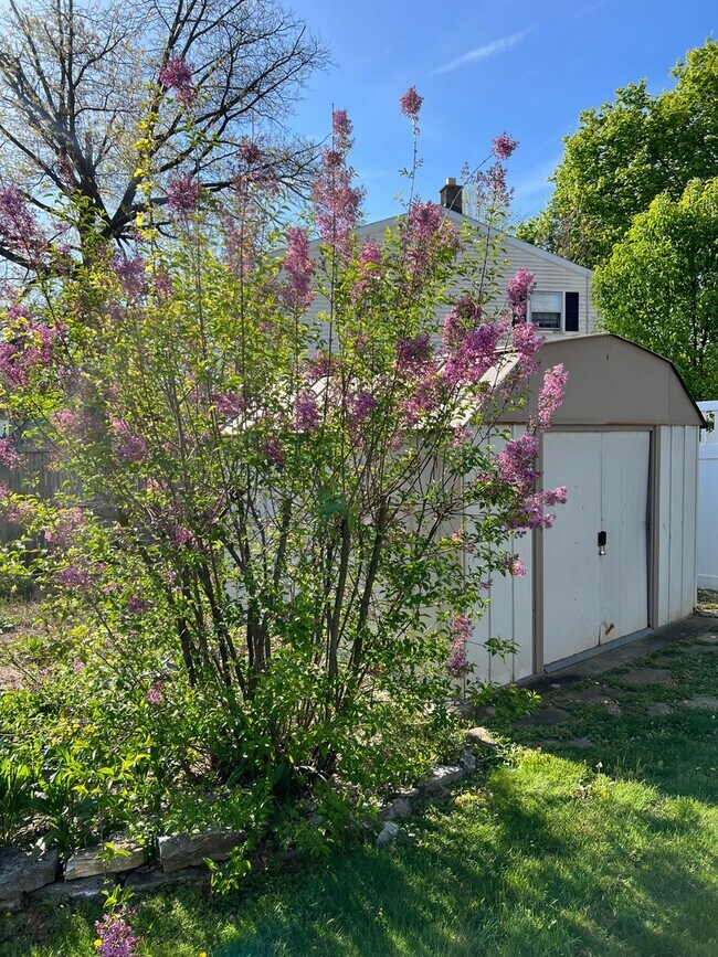 Building Photo - Beautiful 3 BD, 1 BA Lititz Home!