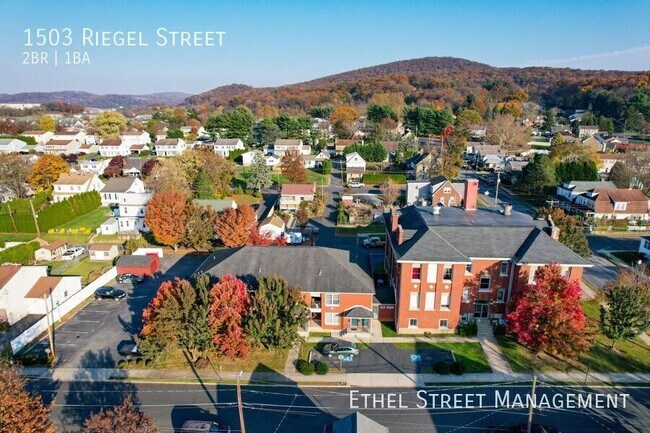Building Photo - 1503 Riegel St