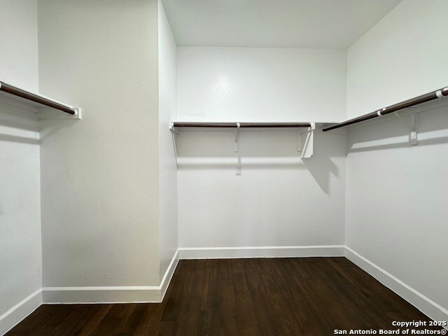 Building Photo - 203 Calming Agave Wy