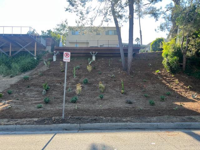 Water-friendly, native flora in back yard - 2812 Anchor Ave