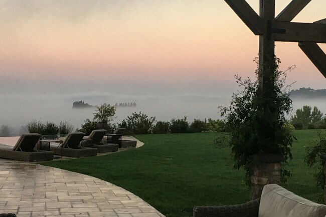 rear yard view - 13368 Orions Flight Way