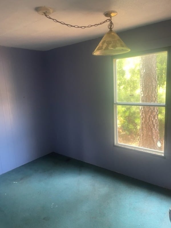 Building Photo - 127 Emily St